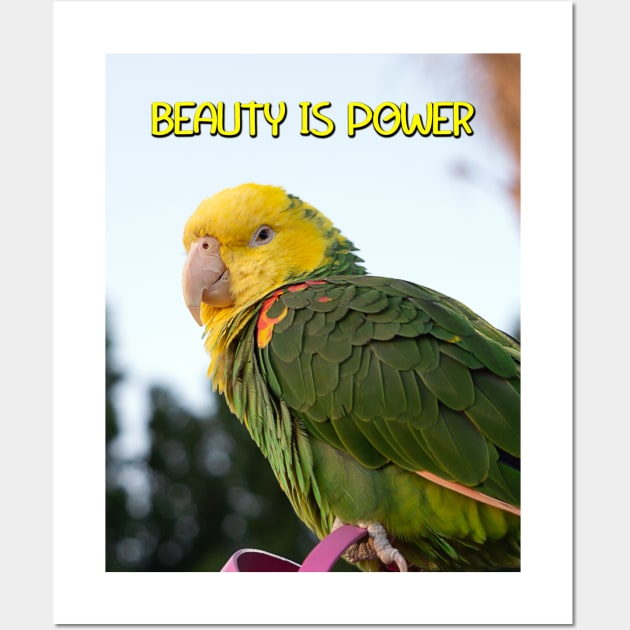 BEAUTY IS POWER Wall Art by likbatonboot